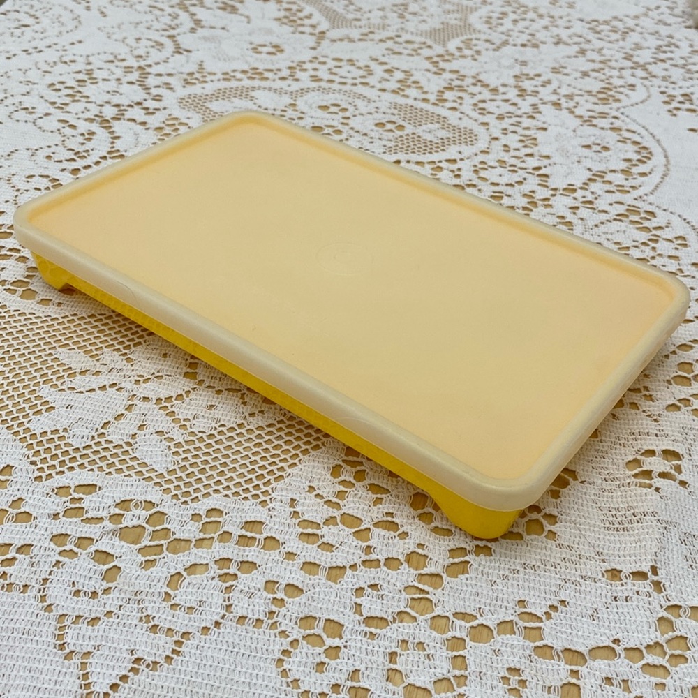 Tupperware Small Marinade Container
